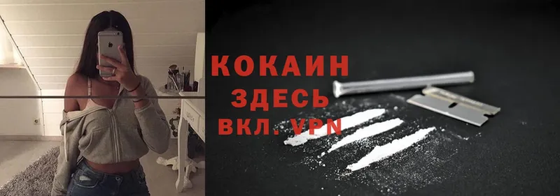 Cocaine Fish Scale  блэк спрут   Новоульяновск  магазин   